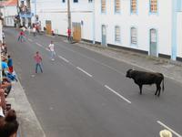 Stierspiele auf Teirceira