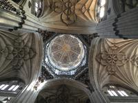 Kathedrale Salamanca