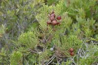 P1220418,Wanderung (6)