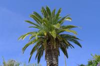 P1220498,Silves (10)