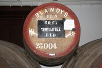 Blandy's Wine Lodge (2)
