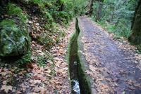 Levadawanderung nach Balcoes (2)