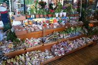 Viele Samen und Blumenzwiebeln