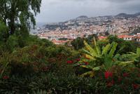 Im Orchideengarten (6)