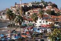 Camara de Lobos (10)