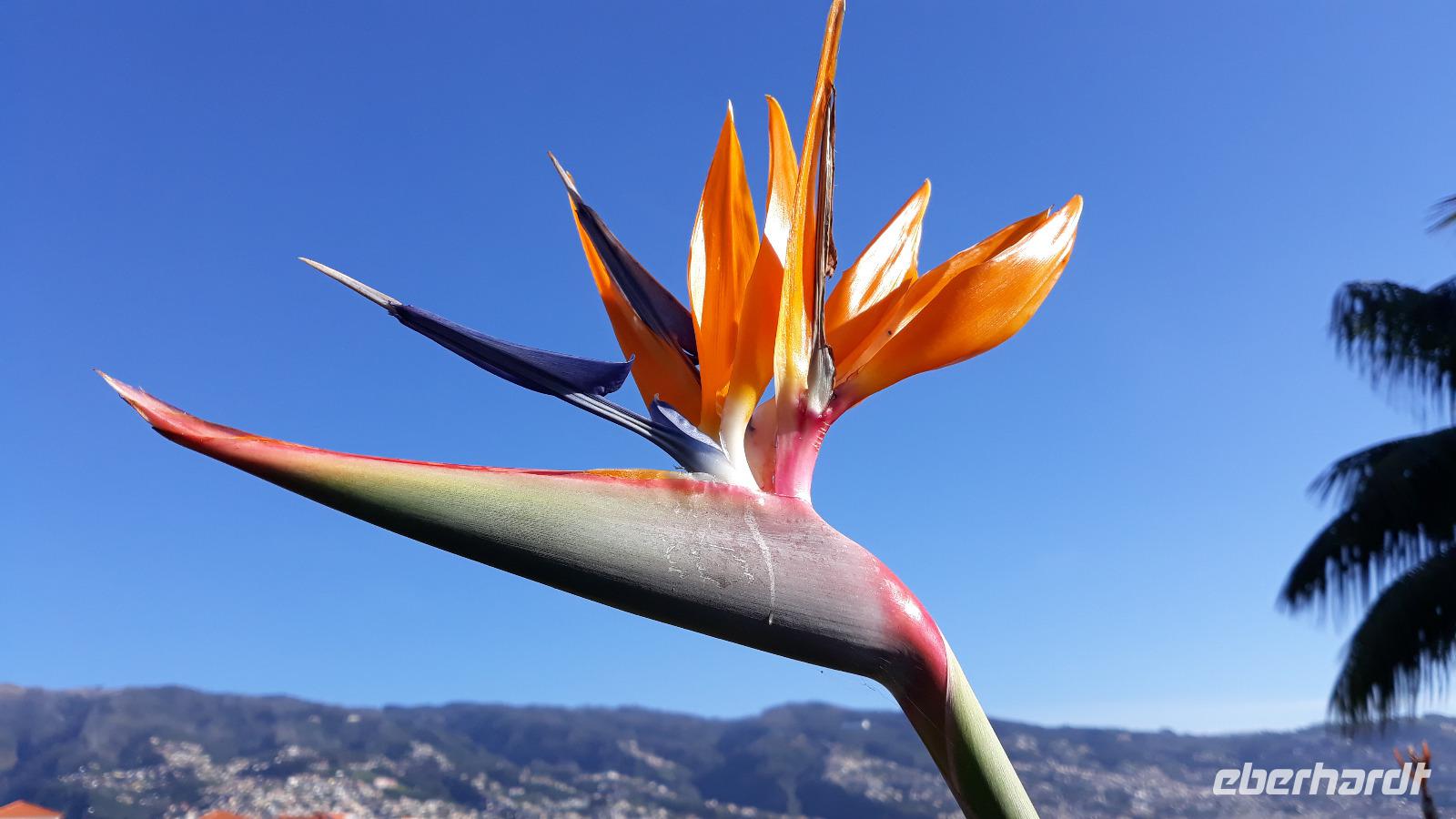 Ein letzter Gruß vom Abreisetag