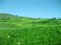 Fahrt an der Atlantikküste entlang