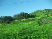 Fahrt an der Atlantikküste entlang