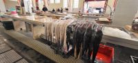 17 Fischhalle mit Degenfisch