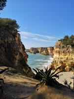 Küstenwanderung von Senhora da Rocha nach Rocha Brava