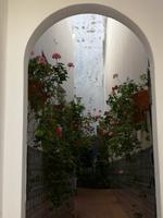 Ausflug Silves und Monchique