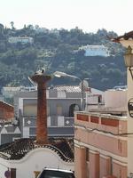 Ausflug Silves und Monchique