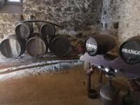 Ausflug Silves und Monchique