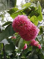 Ausflug Faro bis Tavira und zur spanischen Grenze