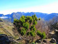 Über den Encumeada-Pass nach Paúl da Serra