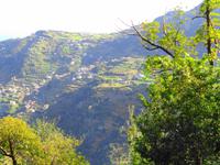 Wanderung an der Levada da Ribeira da Janela