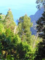 Wanderung an der Levada da Ribeira da Janela
