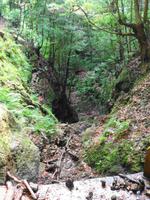 Wanderung an der Levada da Ribeira da Janela
