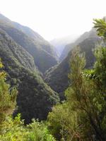 Wanderung an der Levada da Ribeira da Janela