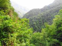 Wanderung an der Levada da Ribeira da Janela