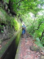 Wanderung an der Levada da Ribeira da Janela