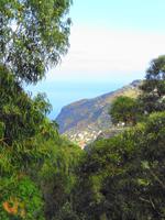 Wanderung an der Levada da Ribeira da Janela