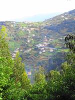 Wanderung an der Levada da Ribeira da Janela
