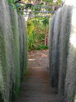 Pregetter’s Orchideengarten „Jardim Orquídea“, Funchal 