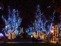 Weihnachtliche Deko, Funchal 
