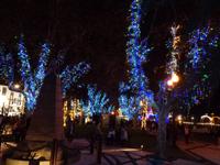 Weihnachtliche Deko, Funchal 