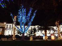 Weihnachtliche Deko, Funchal 