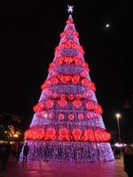 Weihnachtliche Deko, Funchal 