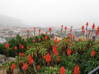 Blick vom Pico dos Barcelos 