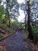 Wanderung zum Aussichtspunkt Balcões