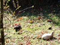 Wanderung zum Aussichtspunkt Balcões