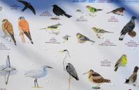 Wanderung zum Aussichtspunkt Balcões