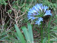 Wanderung zum Aussichtspunkt Balcões