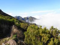 Wanderung von Achada do Teixeira zum Pico Ruivo 