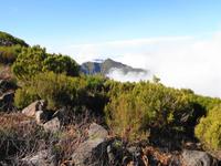 Wanderung von Achada do Teixeira zum Pico Ruivo 