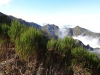 Wanderung von Achada do Teixeira zum Pico Ruivo 