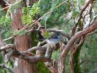 Wanderung von Achada do Teixeira zum Pico Ruivo 