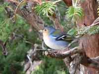 Wanderung von Achada do Teixeira zum Pico Ruivo 