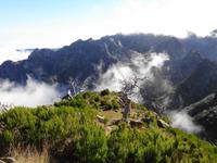 Wanderung von Achada do Teixeira zum Pico Ruivo 