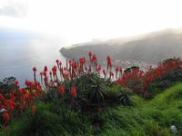 Blick vom Pico do Facho über Machico 