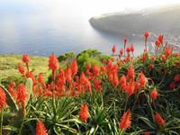 Blick vom Pico do Facho über Machico 