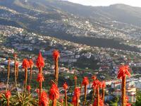 Aussichtspunkt Pico dos Barcelos 