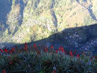 Blick in das Nonnental 