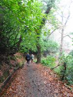 Wanderung an der Levada da Serra do Faial