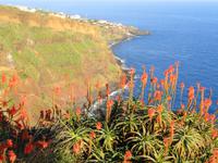 Blick von Ponta do Garajau