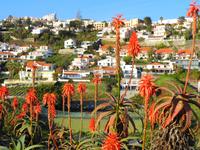 Blick von Ponta do Garajau